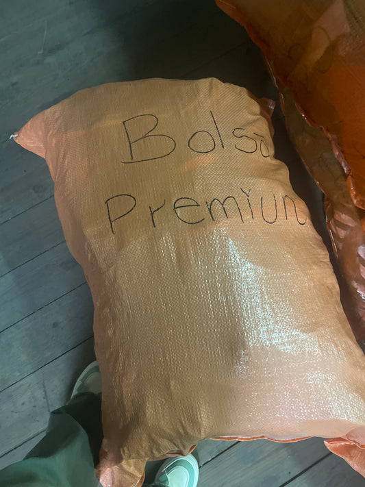 Cartera/Bolsa Premium MV