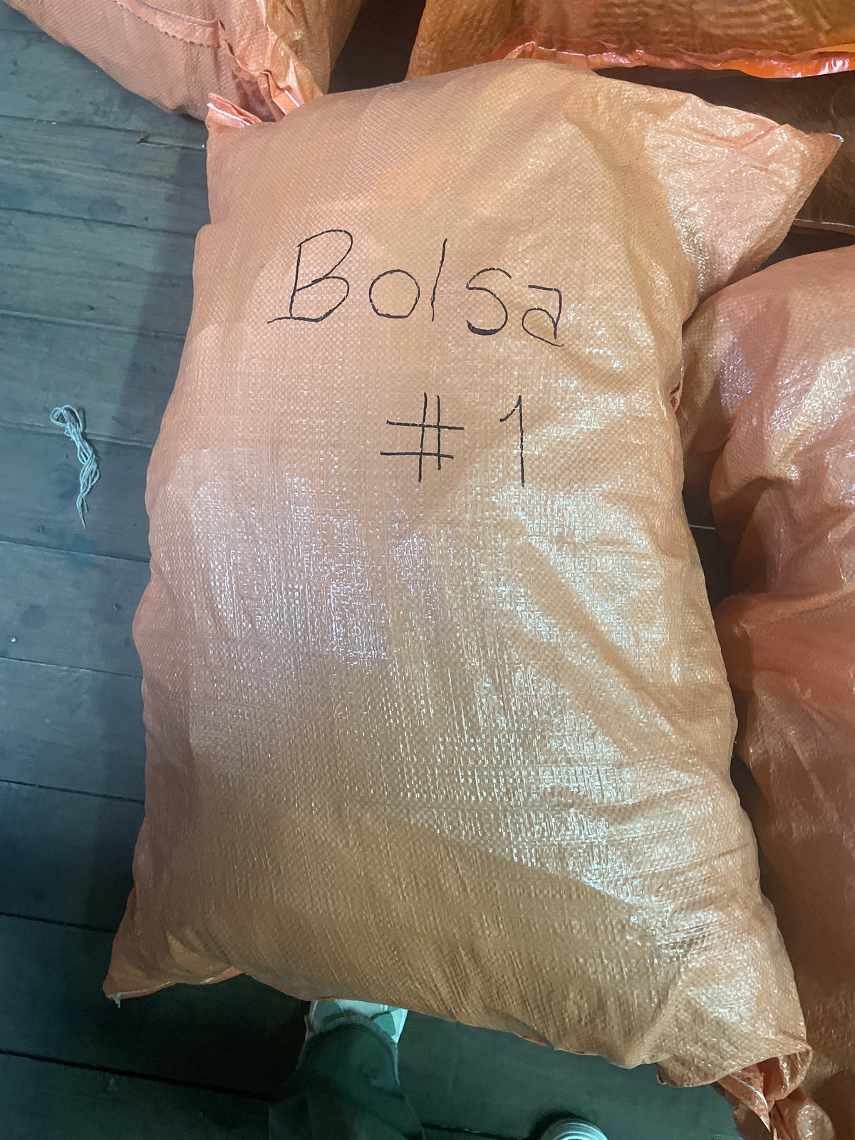 Cartera /Bolsa #1 MV